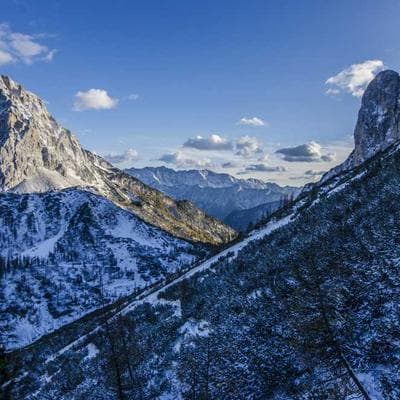 Patch Commandos Marine