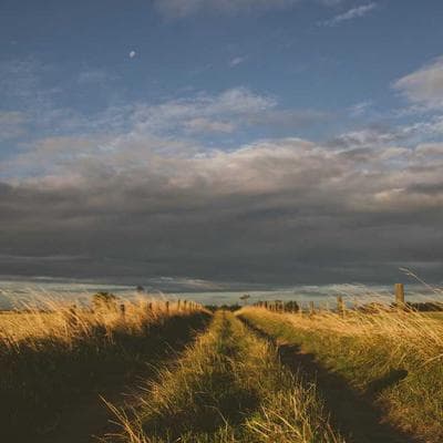 Challenge Coin Gendarmerie Mobile — image 1