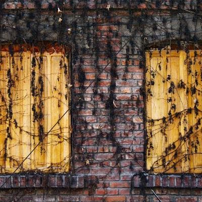 Médaille commémorative Opex — image 1