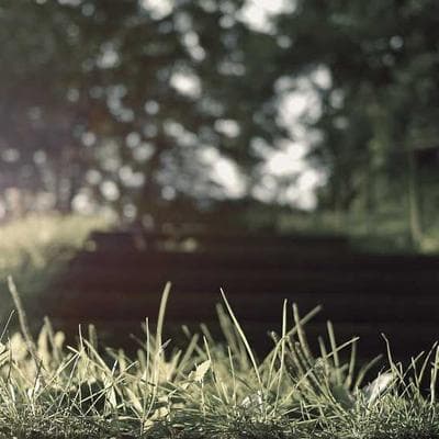 Patch Rafale Solo Display — image 1